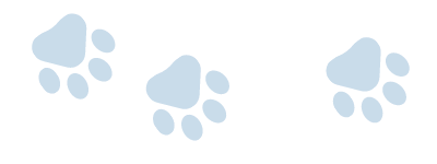 Αντίγραφο του Ανώνυμο-4 paws